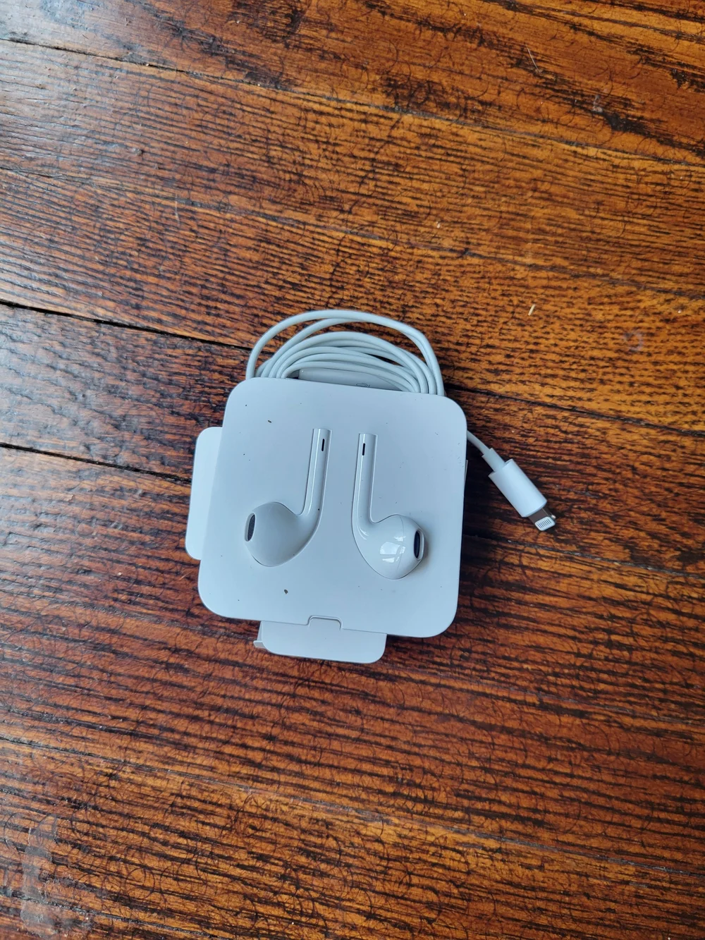 Apple Lightning Earpods + 3.5mm Adapter OEM Earbuds New